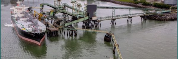 Trigon Pacific Terminal